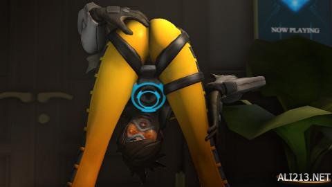 这两支队伍 这两支队伍