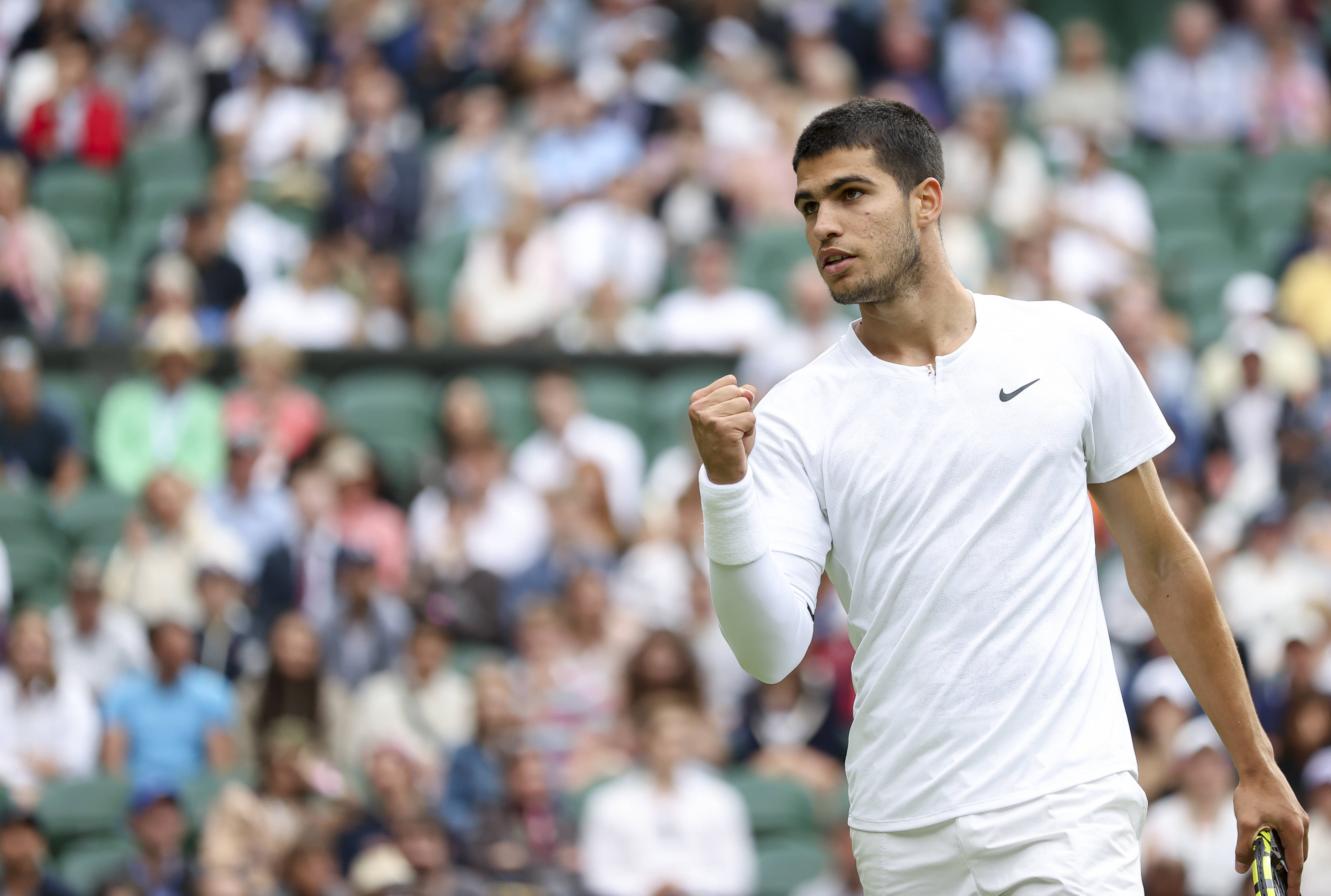 森林在新赛 森林在新赛