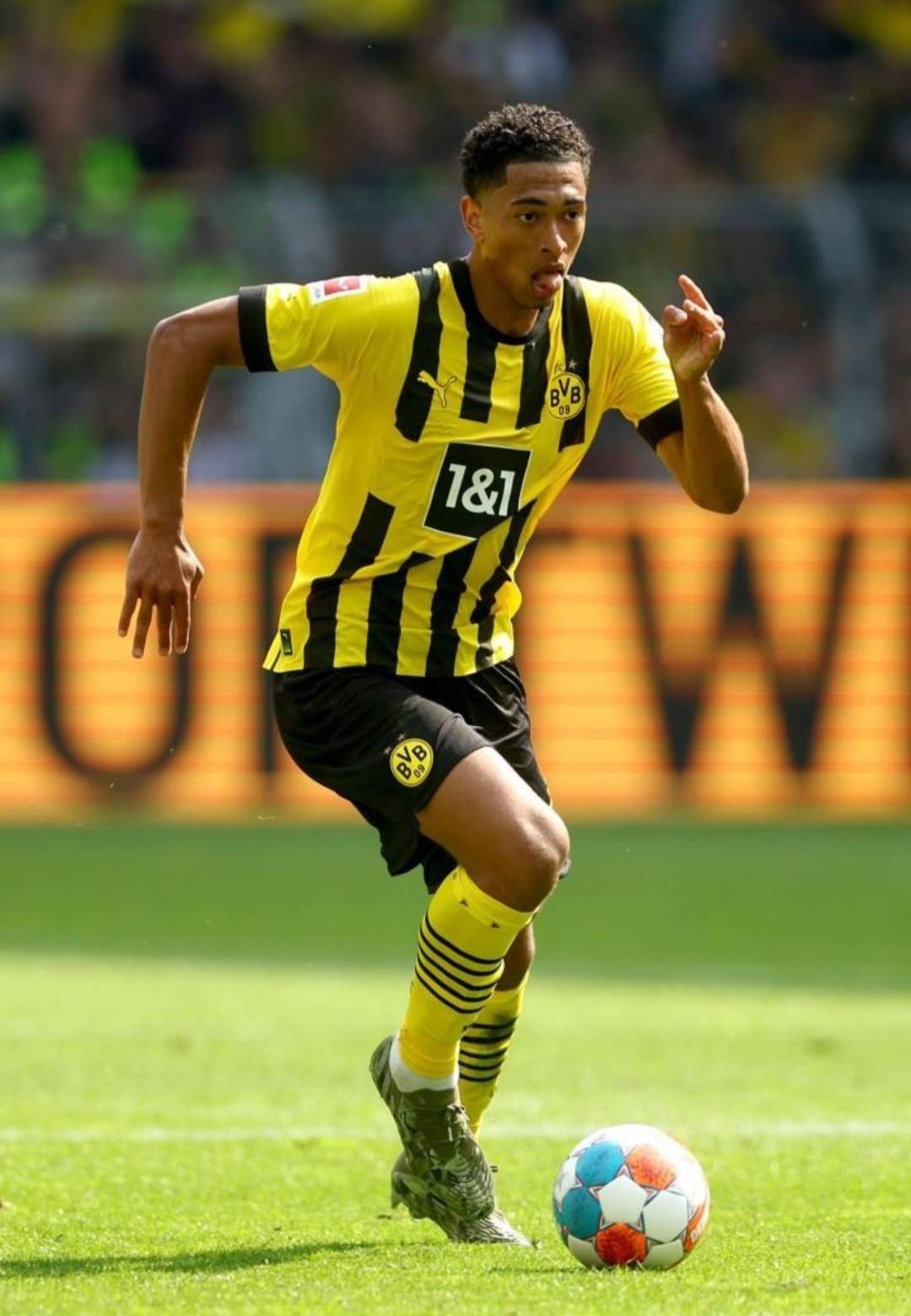 自然融合 自然融合